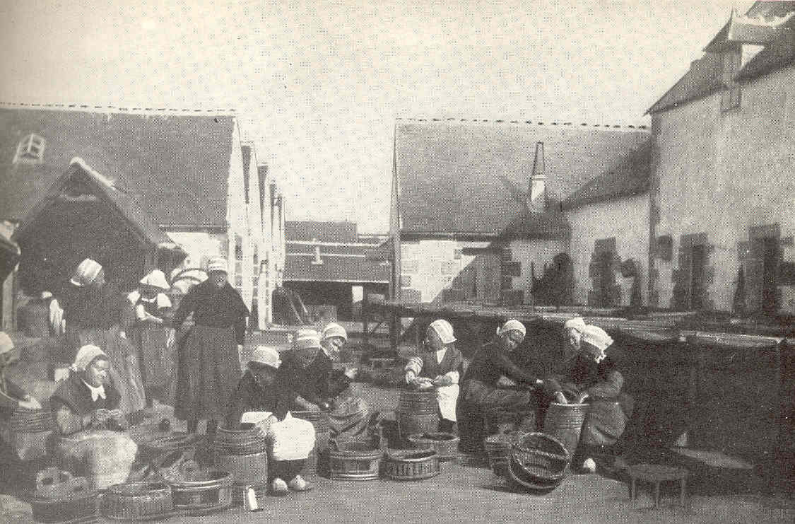 sardine cannery fish factory workers