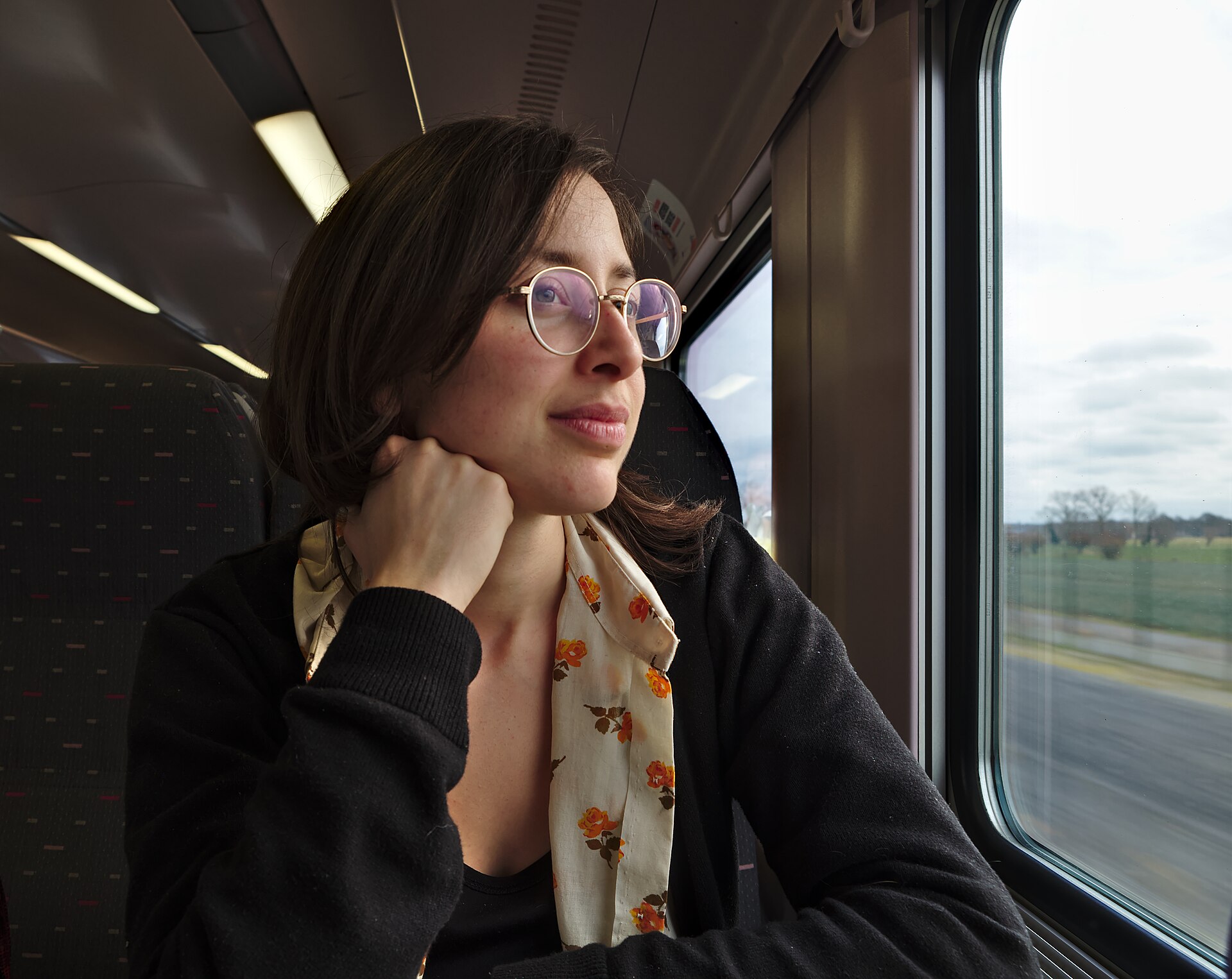 train window passenger