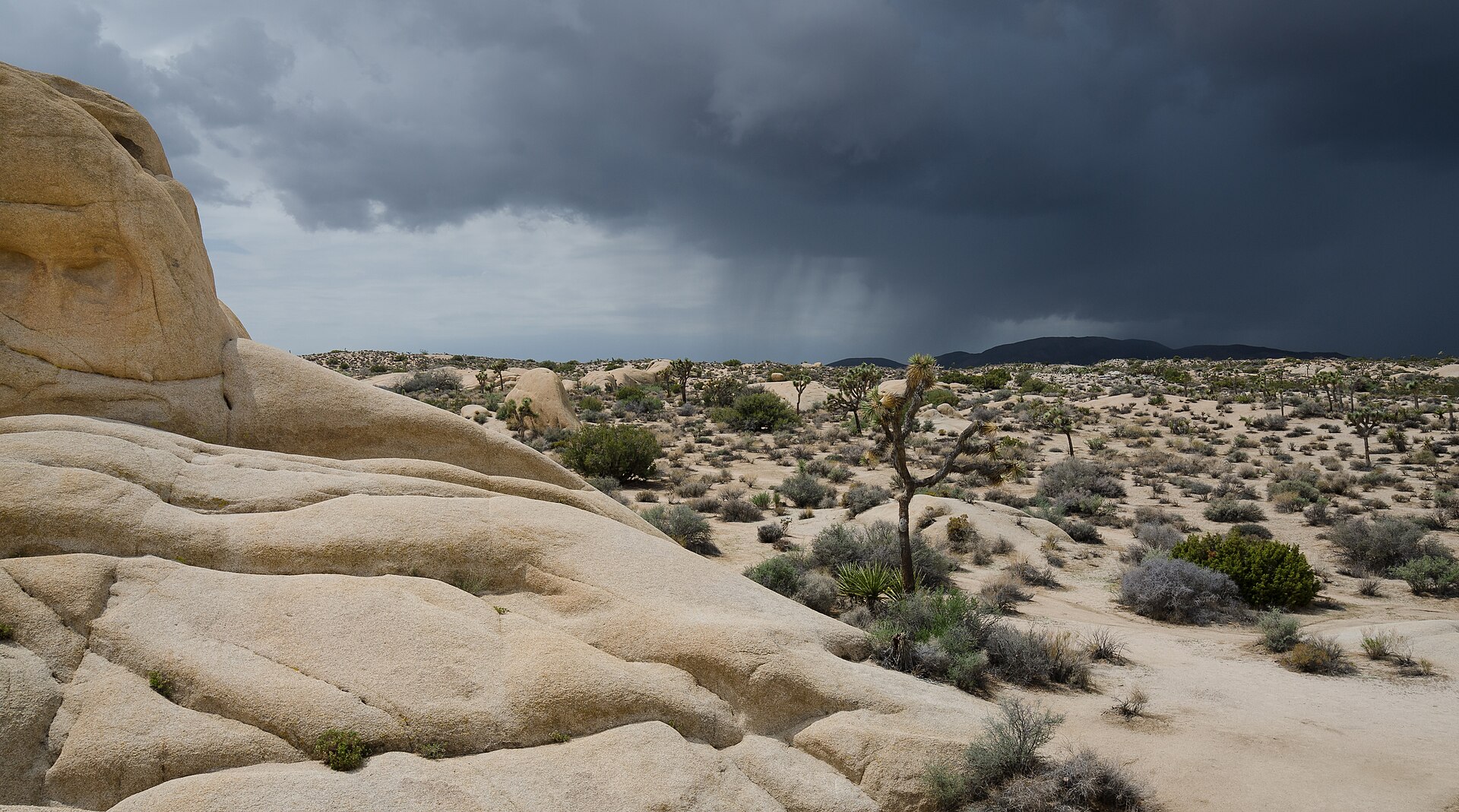 thunderstorm approaching field